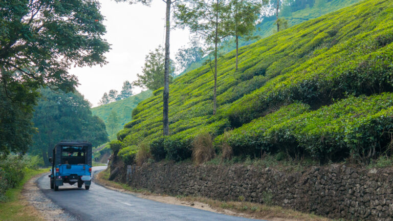 Cochi To Munnar