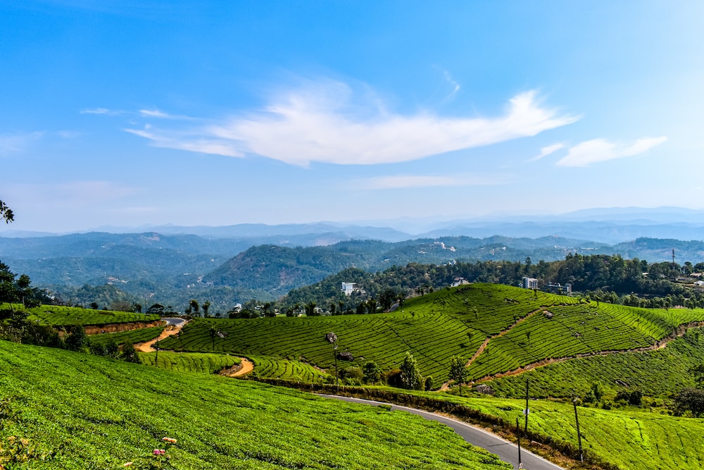KERALA PACKAGE 4 NIGHT / 5 DAYS