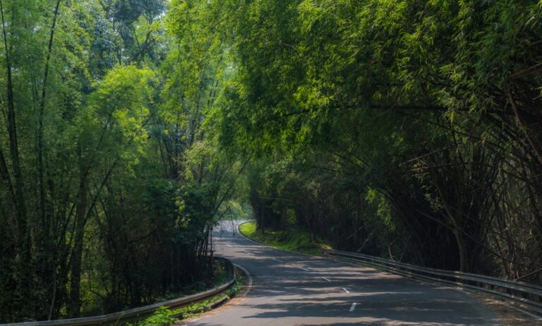 Arrive Cochin Drive to Munnar