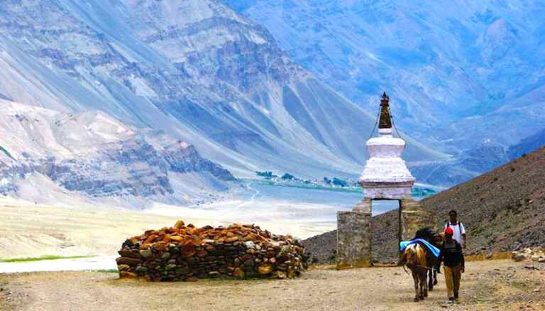 Leh-Ladakh-tour (2)