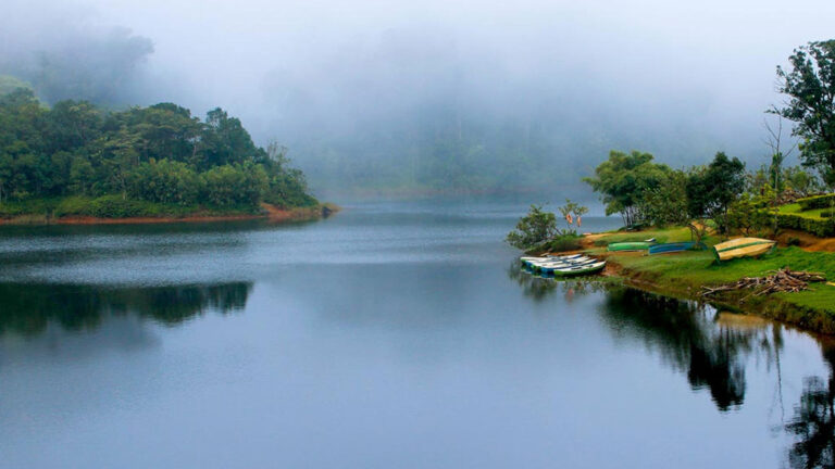 Munnar to Thekkady